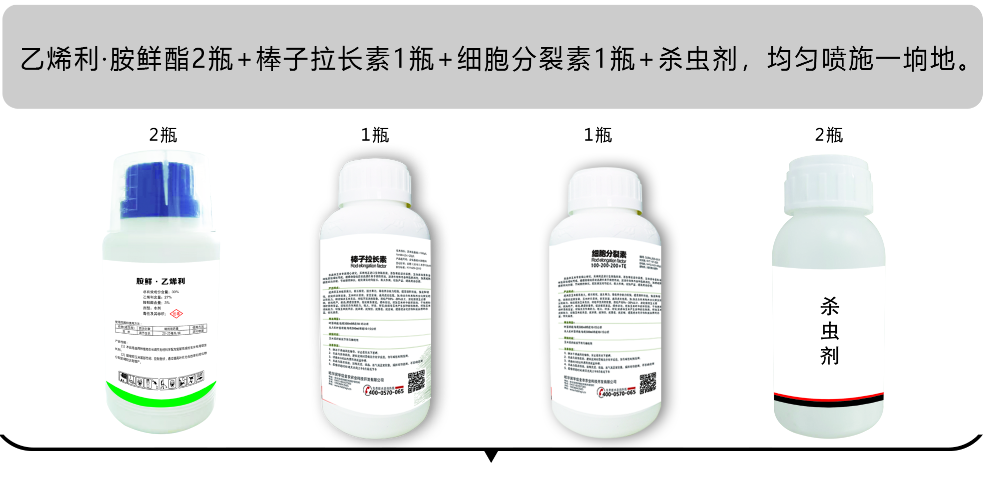 QQ截图20220620130715.png